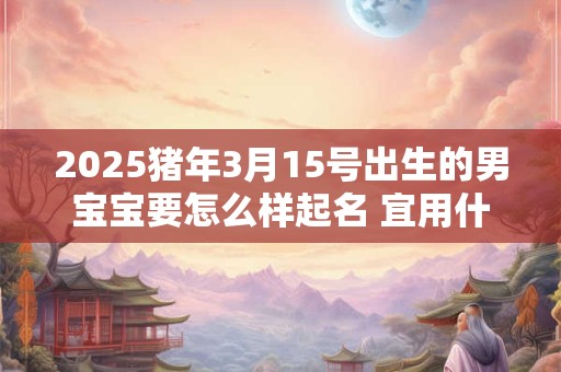2025猪年3月15号出生的男宝宝要怎么样起名 宜用什么字