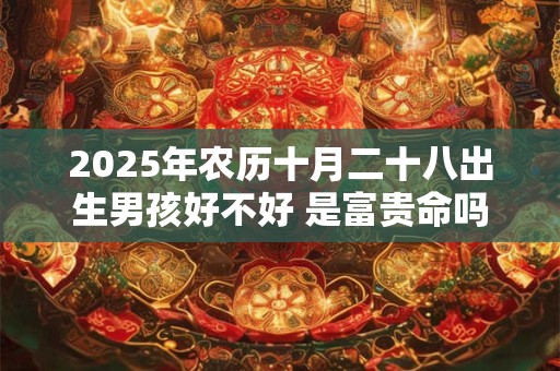 2026年农历十月二十八出生男孩好不好 是富贵命吗