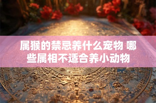 属猴的禁忌养什么宠物 哪些属相不适合养小动物 属猴的禁忌养什么宠物 哪些属相不适合养小动物
