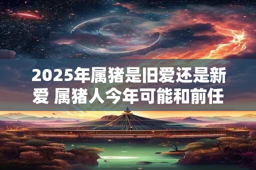2026年属猪是旧爱还是新爱 属猪人今年可能和前任复合吗