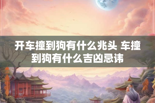 开车撞到狗有什么兆头 车撞到狗有什么吉凶忌讳