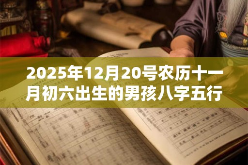 2025年12月20号农历十一月初六出生的男孩八字五行起名字