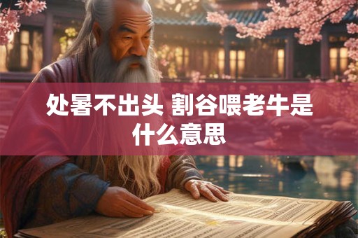 处暑不出头 割谷喂老牛是什么意思