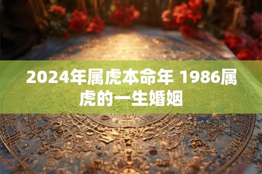 2024年属虎本命年 1986属虎的一生婚姻
