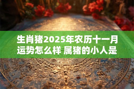 生肖猪2025年农历十一月运势怎么样 属猪的小人是谁