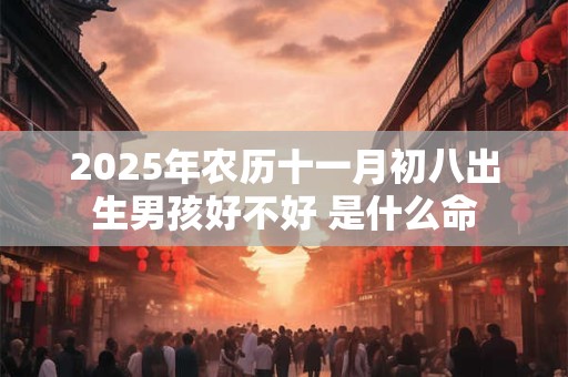 2025年农历十一月初八出生男孩好不好 是什么命