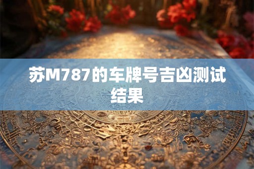 苏M787的车牌号吉凶测试结果