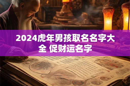 2024虎年男孩取名名字大全 促财运名字