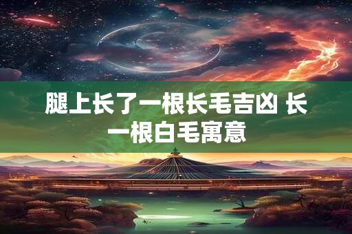 腿上长了一根长毛吉凶 长一根白毛寓意