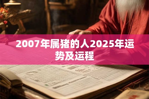 2007年属猪的人2025年运势及运程
