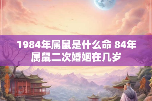 1984年属鼠是什么命 84年属鼠二次婚姻在几岁