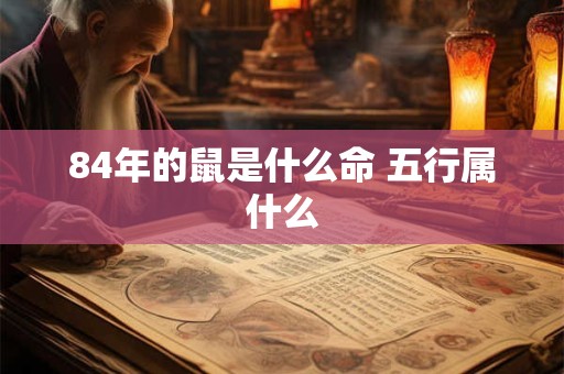 84年的鼠是什么命 五行属什么