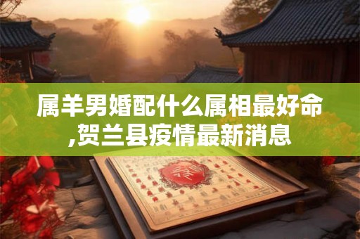 属羊男婚配什么属相最好命,贺兰县疫情最新消息