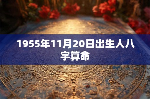 1955年11月20日出生人八字算命