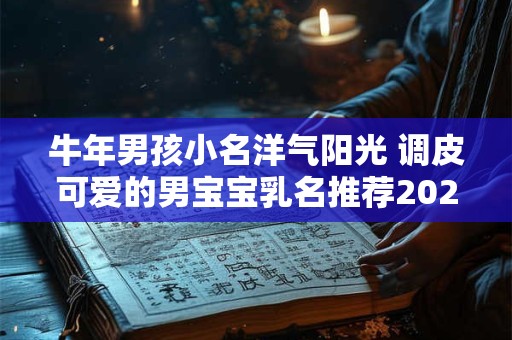详细阅读:牛年男孩小名洋气阳光 调皮可爱的男宝宝乳名推荐2025年 牛年男孩小名洋气阳光 调皮可爱的男宝宝乳名推荐2025年