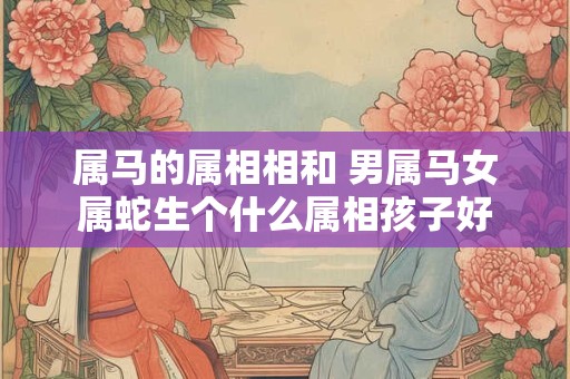 属马的属相相和 男属马女属蛇生个什么属相孩子好
