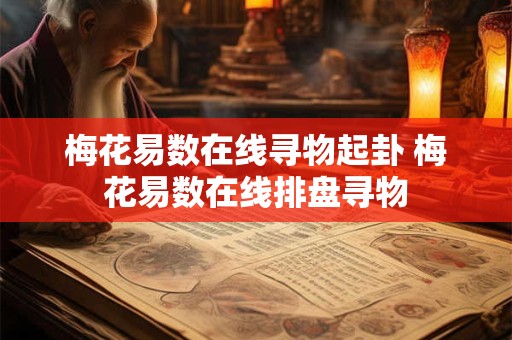 梅花易数在线寻物起卦 梅花易数在线排盘寻物