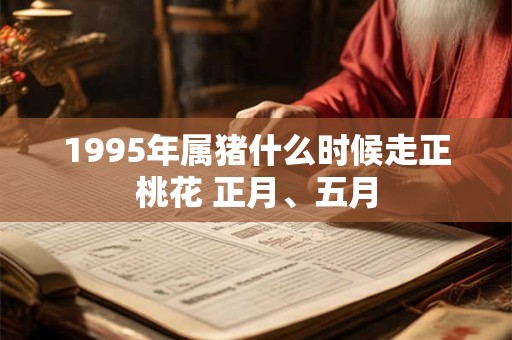 1995年属猪什么时候走正桃花 正月、五月