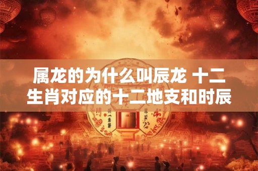 属龙的为什么叫辰龙 十二生肖对应的十二地支和时辰