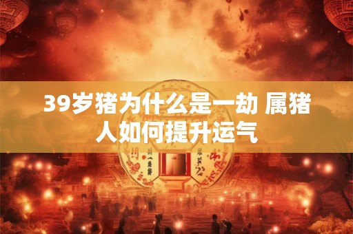 39岁猪为什么是一劫 属猪人如何提升运气