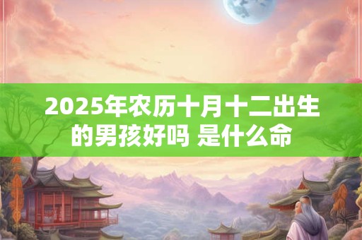2025年农历十月十二出生的男孩好吗 是什么命