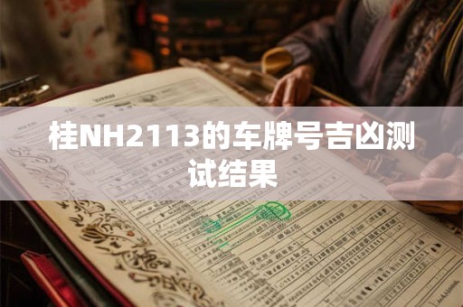 桂NH2113的车牌号吉凶测试结果