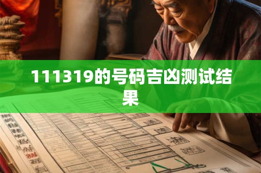 111319的号码吉凶测试结果