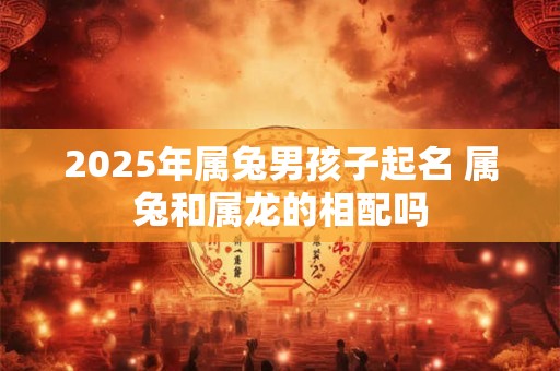 2025年属兔男孩子起名 属兔和属龙的相配吗