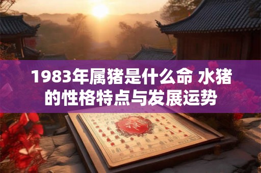 1983年属猪是什么命 水猪的性格特点与发展运势