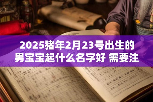 2025猪年2月23号出生的男宝宝起什么名字好 需要注意什么