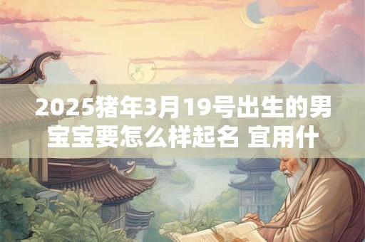 2025猪年3月19号出生的男宝宝要怎么样起名 宜用什么字