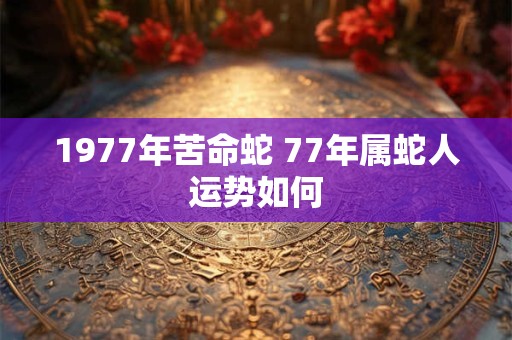 1977年苦命蛇 77年属蛇人运势如何