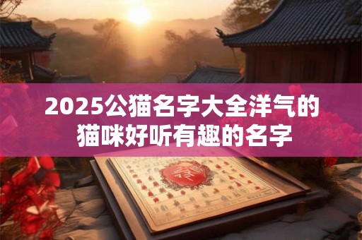 2025公猫名字大全洋气的 猫咪好听有趣的名字