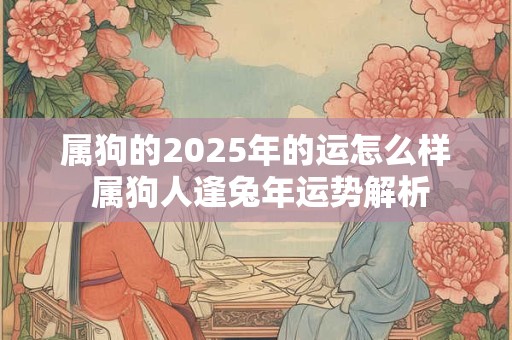 属狗的2025年的运怎么样 属狗人逢兔年运势解析