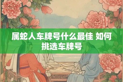 属蛇人车牌号什么最佳 如何挑选车牌号