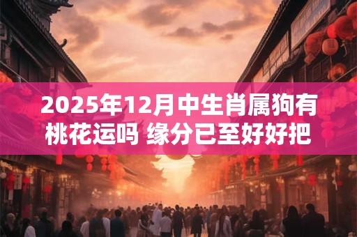 2025年12月中生肖属狗有桃花运吗 缘分已至好好把握