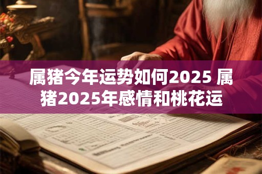 属猪今年运势如何2025 属猪2025年感情和桃花运