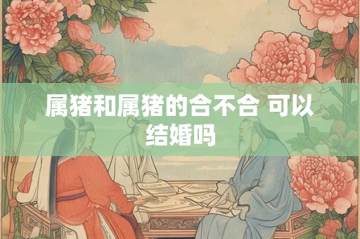 属猪和属猪的合不合 可以结婚吗 属猪和属猪的合不合 可以结婚吗