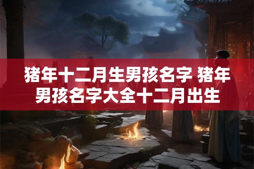 猪年十二月生男孩名字 猪年男孩名字大全十二月出生