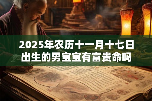 2025年农历十一月十七日出生的男宝宝有富贵命吗