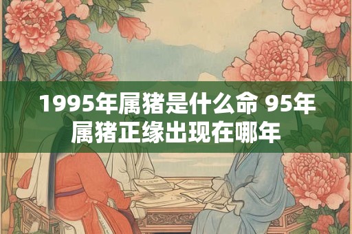 1995年属猪是什么命 95年属猪正缘出现在哪年