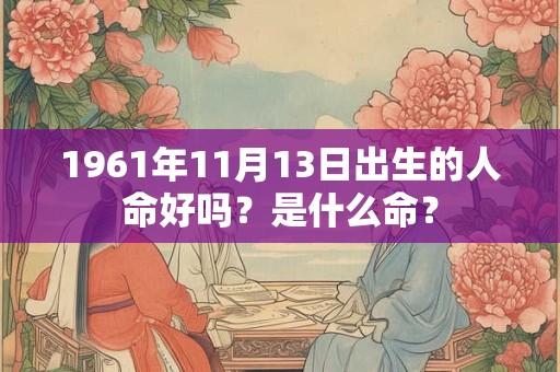1961年11月13日出生的人命好吗？是什么命？
