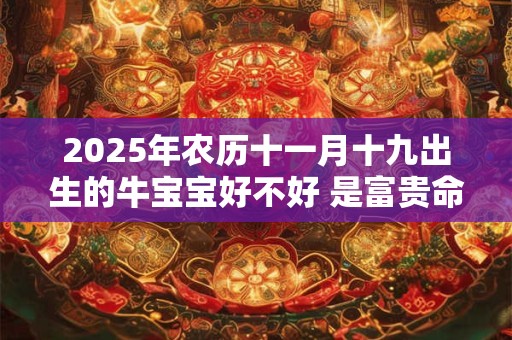 2025年农历十一月十九出生的牛宝宝好不好 是富贵命吗