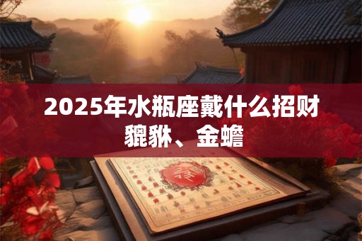 2025年水瓶座戴什么招财 貔貅、金蟾