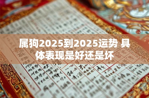 属狗2025到2025运势 具体表现是好还是坏