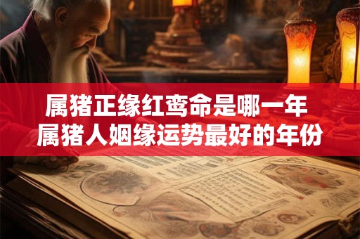 属猪正缘红鸾命是哪一年 属猪人姻缘运势最好的年份