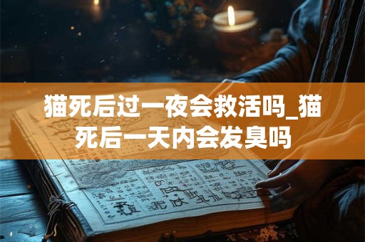 猫死后过一夜会救活吗_猫死后一天内会发臭吗