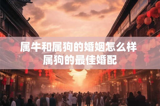 属牛和属狗的婚姻怎么样 属狗的最佳婚配