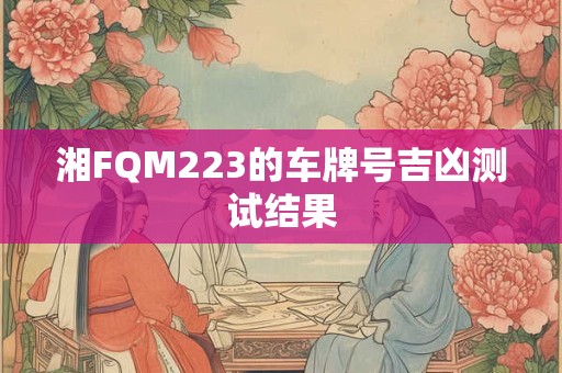 湘FQM223的车牌号吉凶测试结果