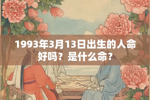1993年3月13日出生的人命好吗？是什么命？